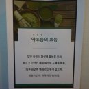 오행약초쑥뜸