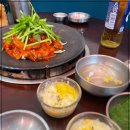 쭈꾸미도사 이미지