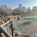 천호도서관 화장실 이미지