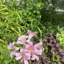 조선농장 이미지