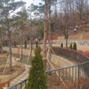 낙성대 숲속공원 이미지