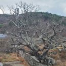 이목산전 이미지