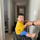 힐탑약국 | 꿈같은 1박3일 나트랑가족여행 1일차