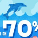 김해 강아지분양 고양이분양 똥강아지 이미지