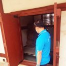 이쥐아이 | 인천방역업체 빠르게 쥐 퇴치한 후기