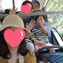 곰고개식당 | 베트남 푸꾸옥 4박 6일 여행 1일차/빈펄사파리기린식당, 호텔수영,그랜드월드식당껌냐(26.4.6.월)