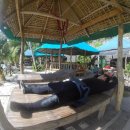 오션드림 이미지