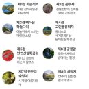 전남 화순 세량제. 세량지 저수지와 생태공원 가을 풍경