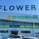 한국화훼농업협동조합