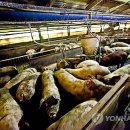 불은농장 이미지