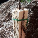 월명농장 이미지