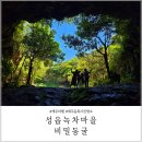 성읍녹차마을영농조합법인 이미지