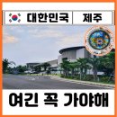 플렌트샵실내포차 | 제주 국립제주박물관 어린이박물관 입장료 0원 실내 놀거리 체험 best 끝판왕 찐후기
