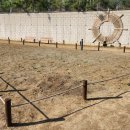 [수성구청] 생각을 담는 정원 이미지