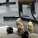 동래피트니스 네이버블로그