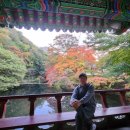 장성사랑공인중개사사무소 이미지