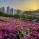 군포교통(주) 이미지