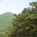 참물샘공원 이미지