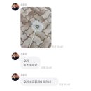 장보는 강아지와 고양이 의정부서부점 | 초여름의 반딧불처럼