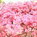 금석농장 이미지