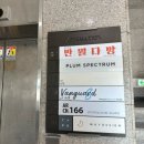 만월다방 한강점 한강뷰 상수역 반려견동반 카페 내돈내산 솔직한 후기