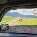 군위군농업기술센터 임대사업소 이미지