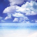 팀케이복싱&크로스핏짐 이미지