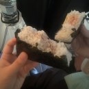 새바라기 | 🩵소노 4강 플레이오프 2차전 원정 응원 후기 | 소노 vs LG