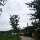 이비에스(EBS)종합학원 이미지