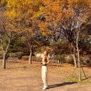 시립수청어린이집 | 경기도 가을 데이트 오산 문헌서원 영정각 단풍 힐링 문헌공원 숲 산책 주차