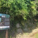 제주삼읍도총지도 이미지