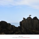 학암포하늘 이미지