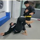 흑추관합기도주짓수