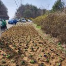 점리마을 이미지