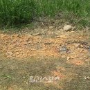 밀밭국수집 이미지