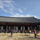 남도의 꽃. 영암 답사를 마치고/안성환 이미지