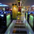 찬스 pc방 이미지