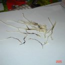 홈플러스 센텀시티점 이미지