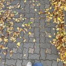 성북동-855 이미지