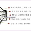 예담인 이미지