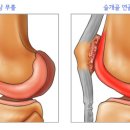연화샵 이미지