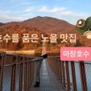 [파주 광탄면] 가을 단풍이 끝내주는 11월 마장호수 출렁다리 & Cafe 레드브릿지 방문후기