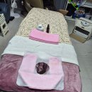 산모체형연구소 네이버블로그