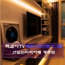 순천덕진의봄 이미지