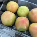 아웃백 딜리버리미아삼양점 | 251103-251109