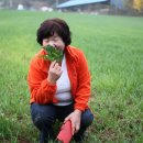 양지편길 이미지