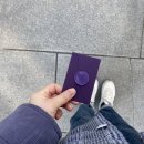 무드블리 이미지
