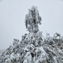 [영알8봉] 고헌산 눈꽃산행(노동산방-정상휴게소) 이미지