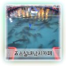 메인프라자 1 | 수원데이트 추천 회원권까지 끊게 만든 죠스실내낚시카페