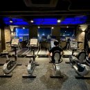 바디스타 휘트니스 용문가장점 이미지